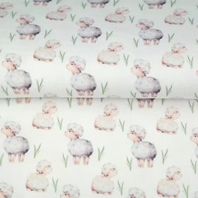 Babycord   Bárányok Fehér