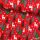 Pamutvászon, Karácsony, Rénszarvas, Piros   
