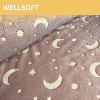 Wellsoft